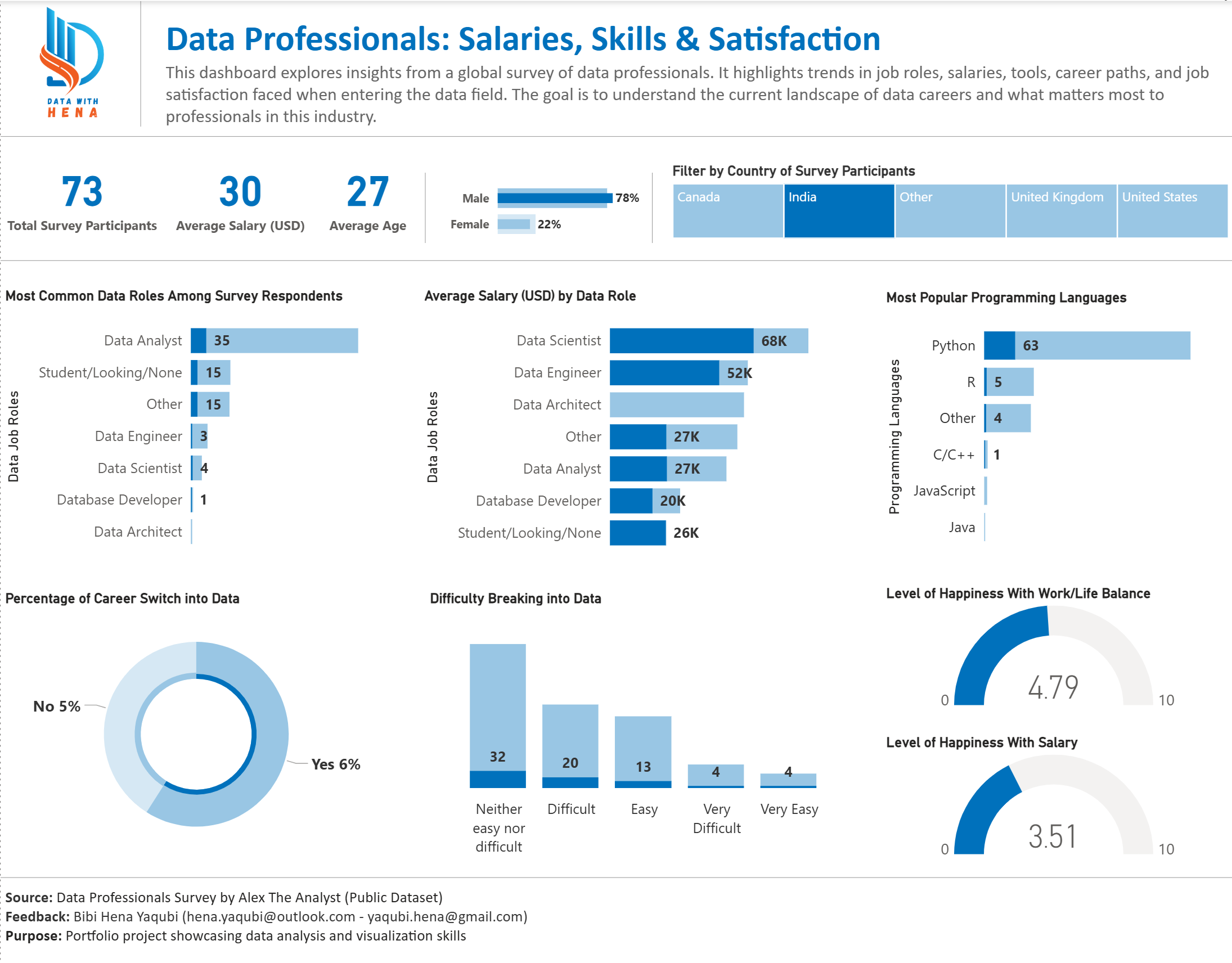 Data Professionals Survey Dashboard - View 2
